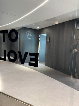 Galería de ariete-04